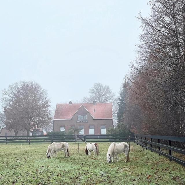 Hoeve De Snippert Groenlo Kültér fotó