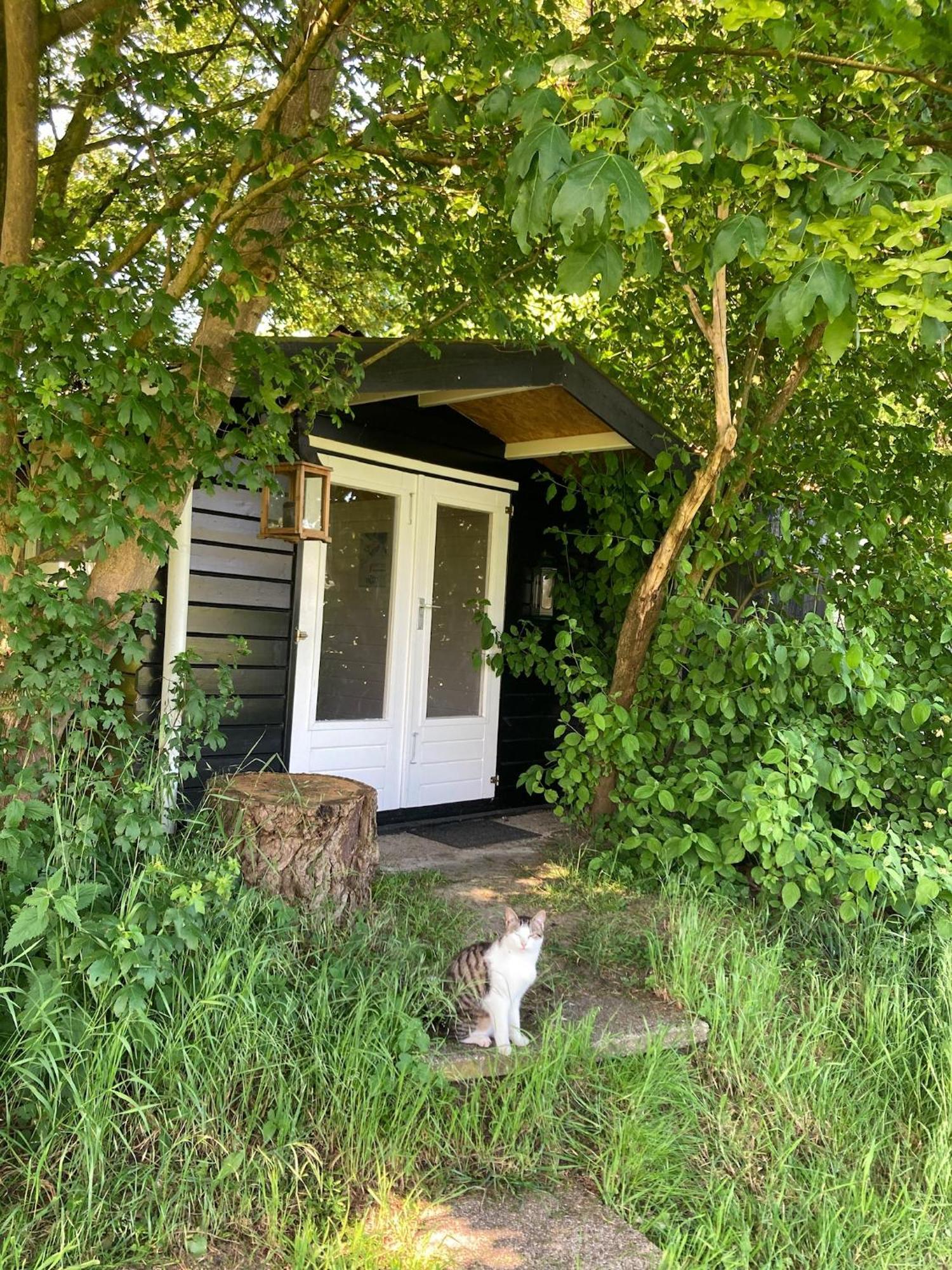 Hoeve De Snippert Groenlo Kültér fotó